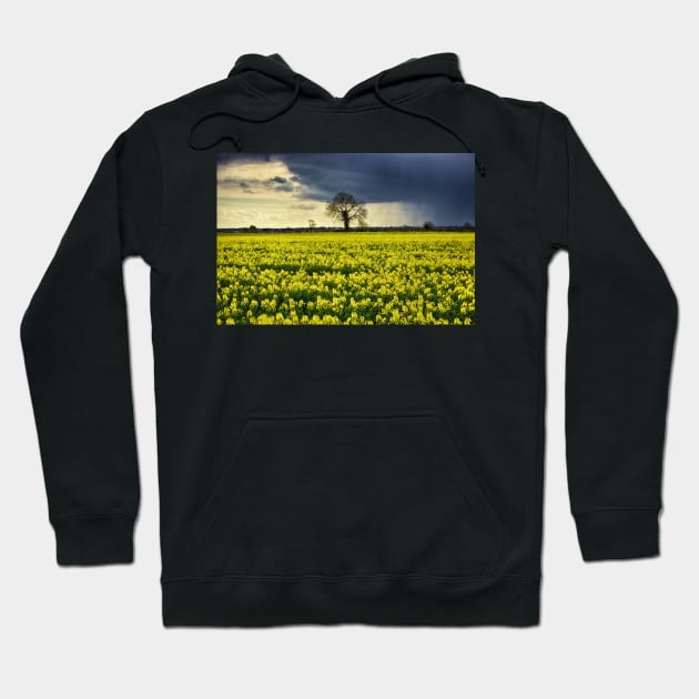 Winter Passing Hoodie by InspiraImage